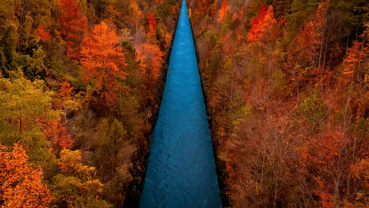 Above the Canal