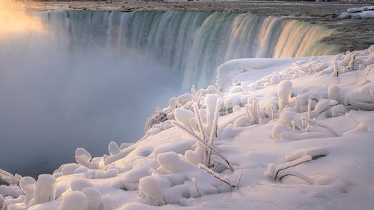 Frozen Morning