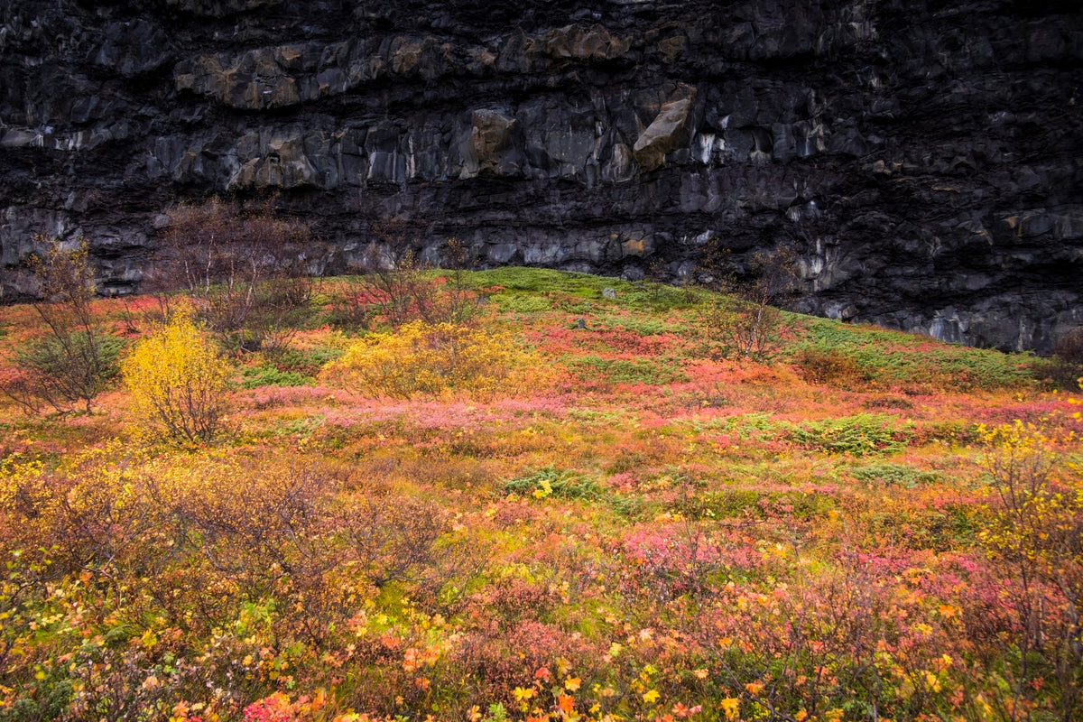 Contrasts of Iceland