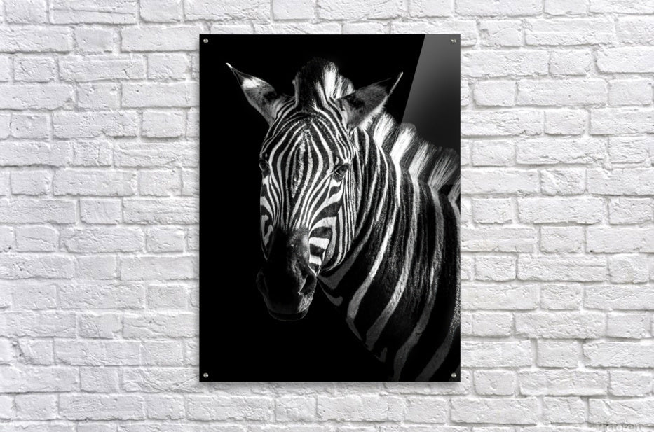 Acrylic Print